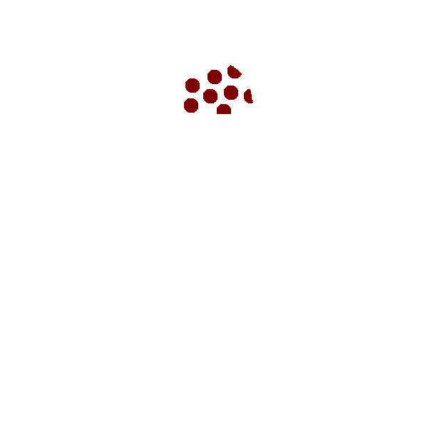 Image Motif