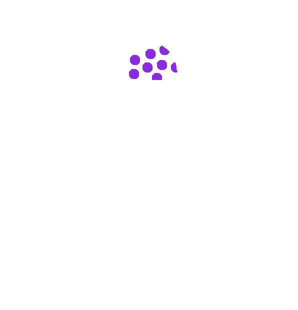 Image Motif