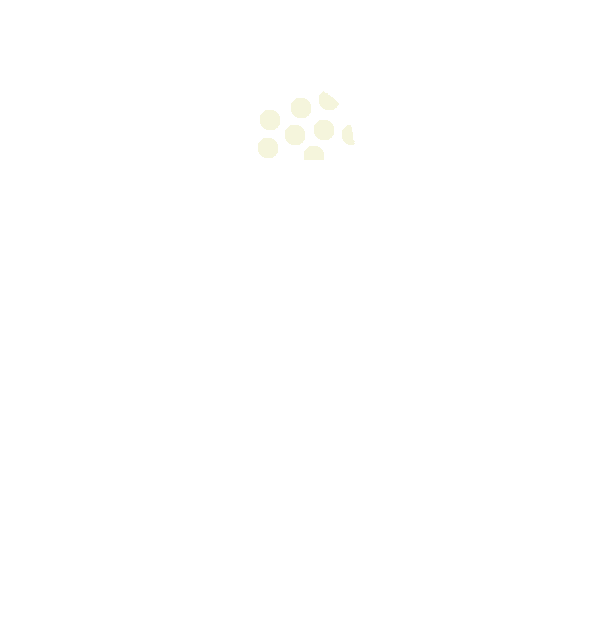 Image Motif