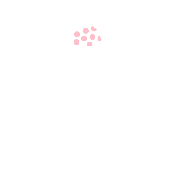 Image Motif