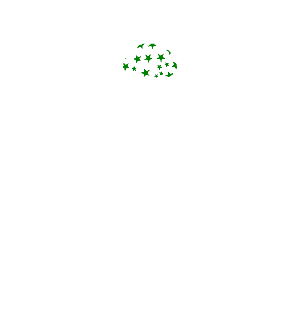 Image Motif
