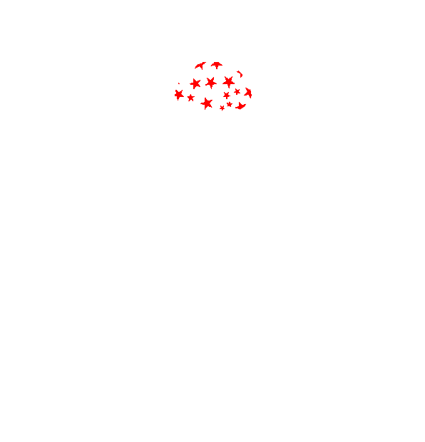 Image Motif