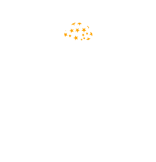 Image Motif