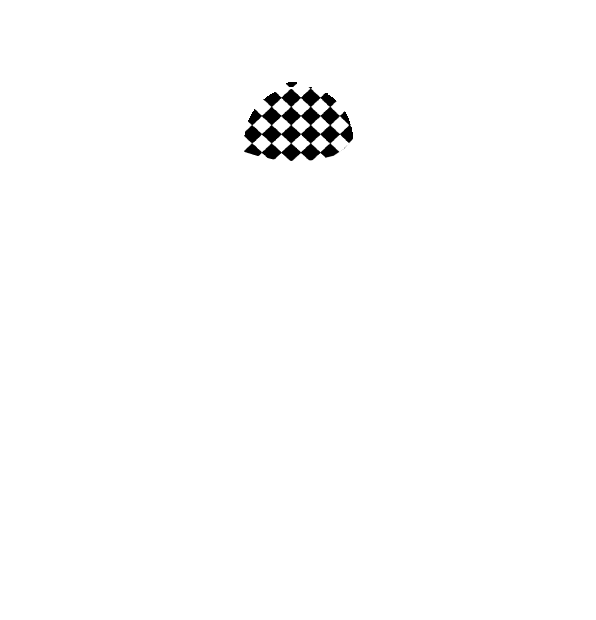 Image Motif
