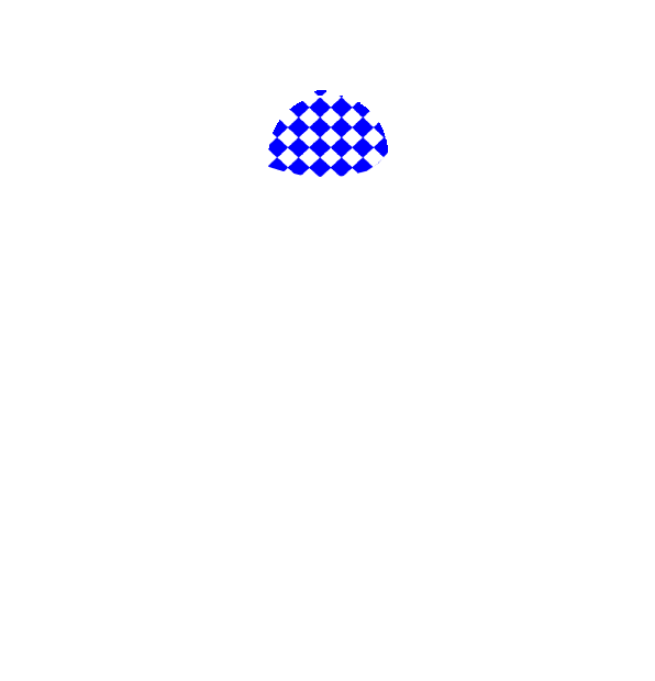 Image Motif