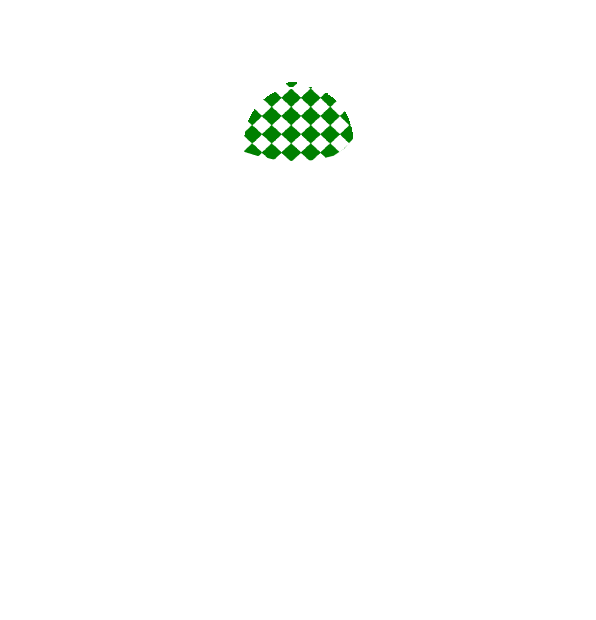 Image Motif