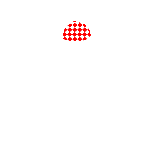 Image Motif