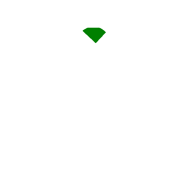 Image Motif