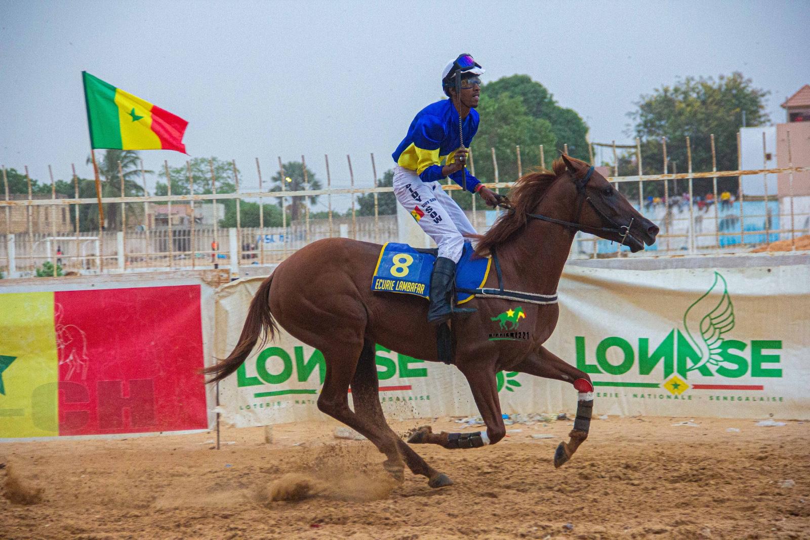 Photo cheval