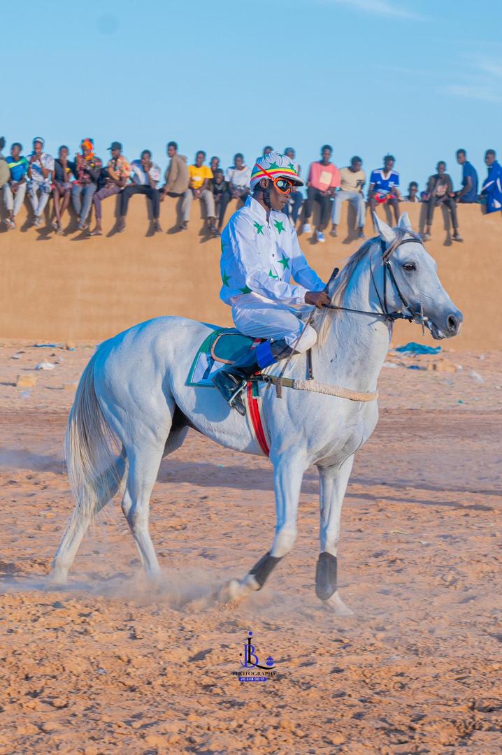 Photo cheval