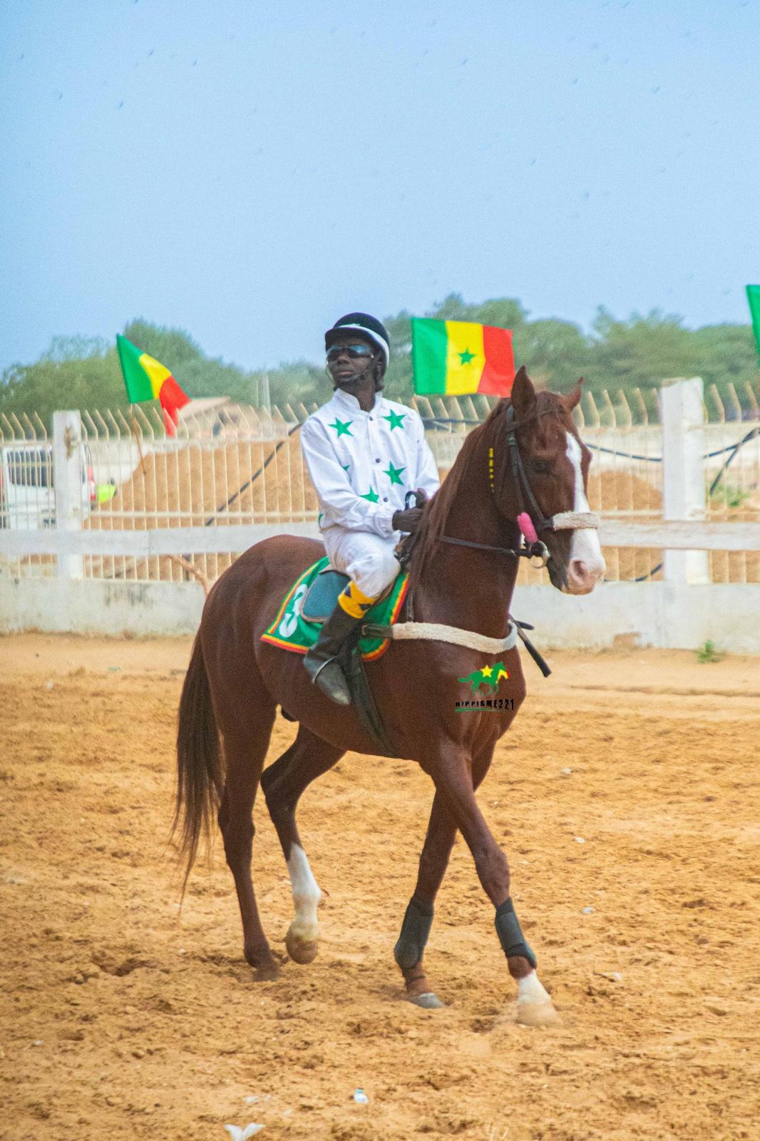 Photo cheval