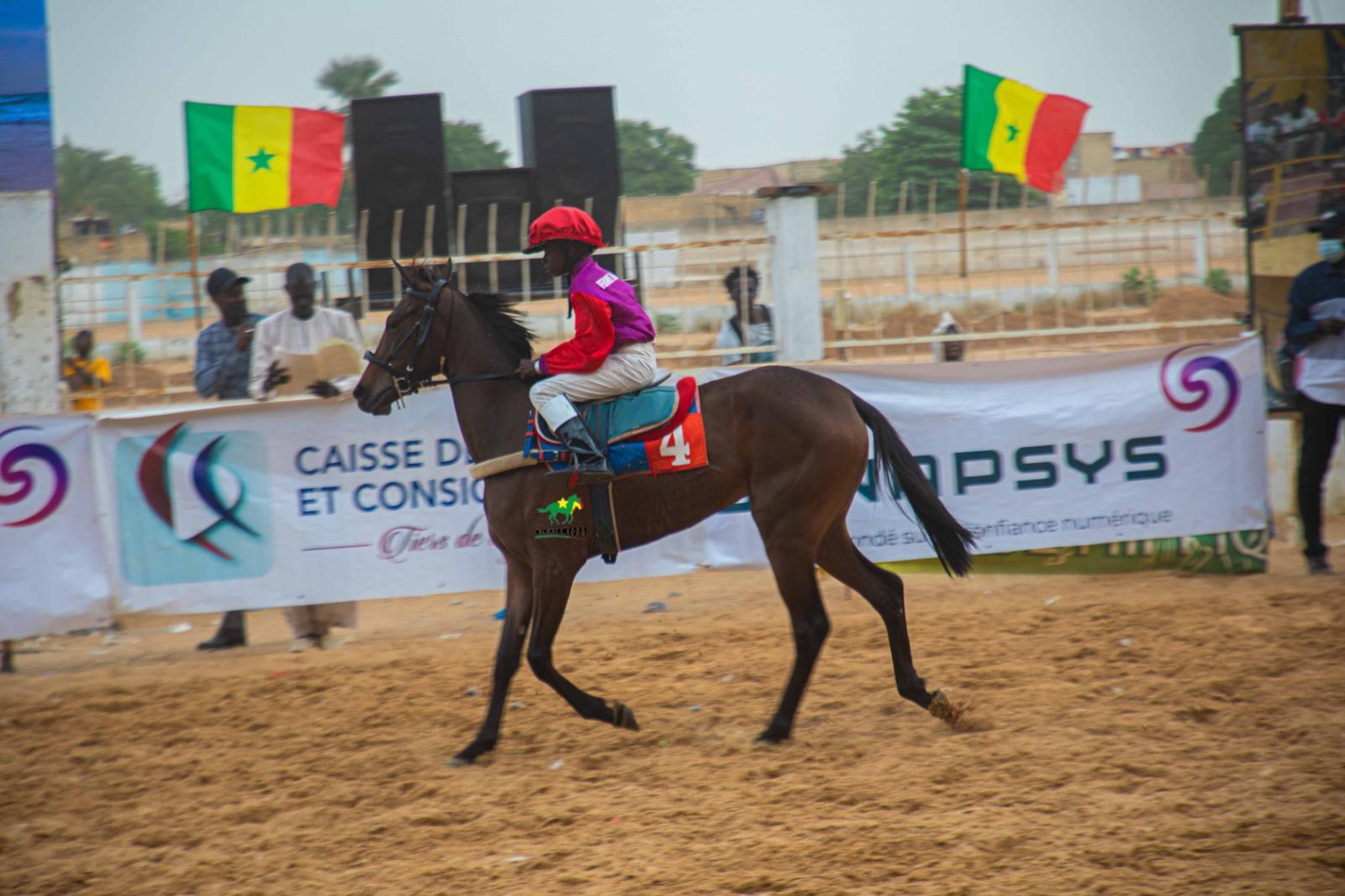 Photo cheval