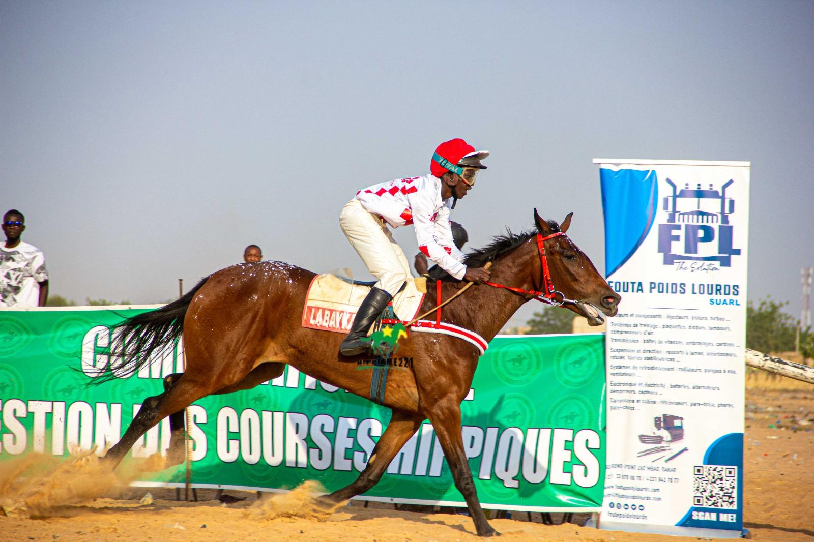 Photo cheval