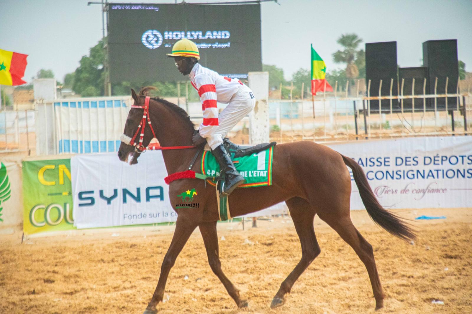 Photo cheval