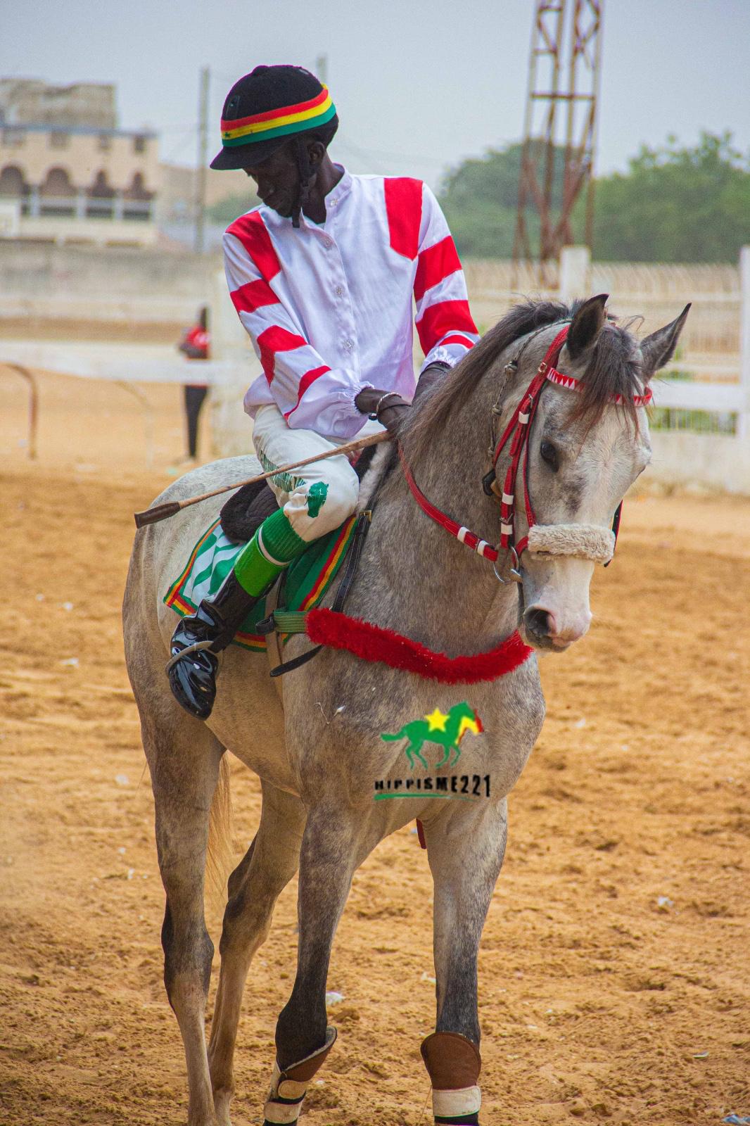 Photo cheval