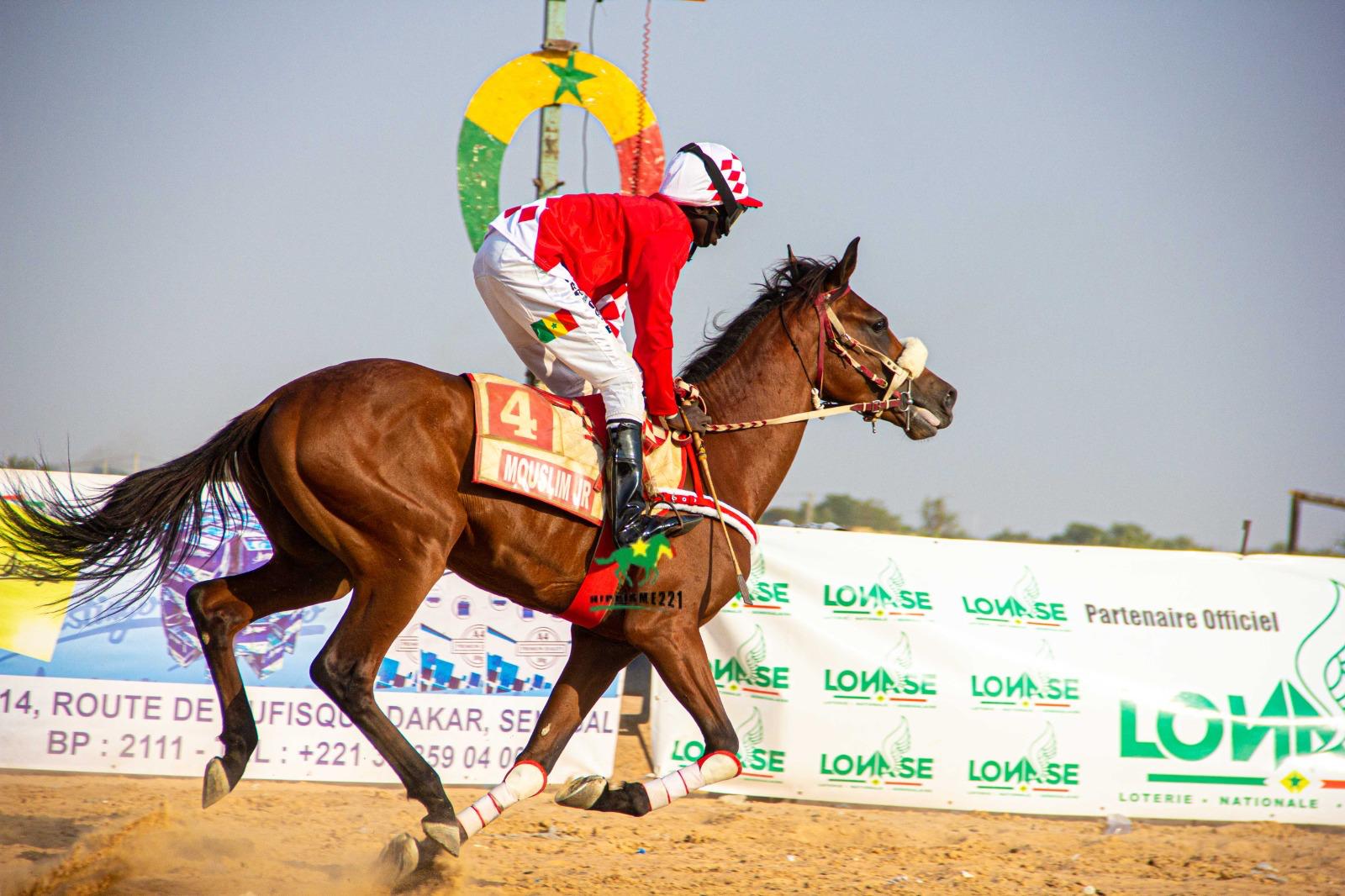 Photo cheval