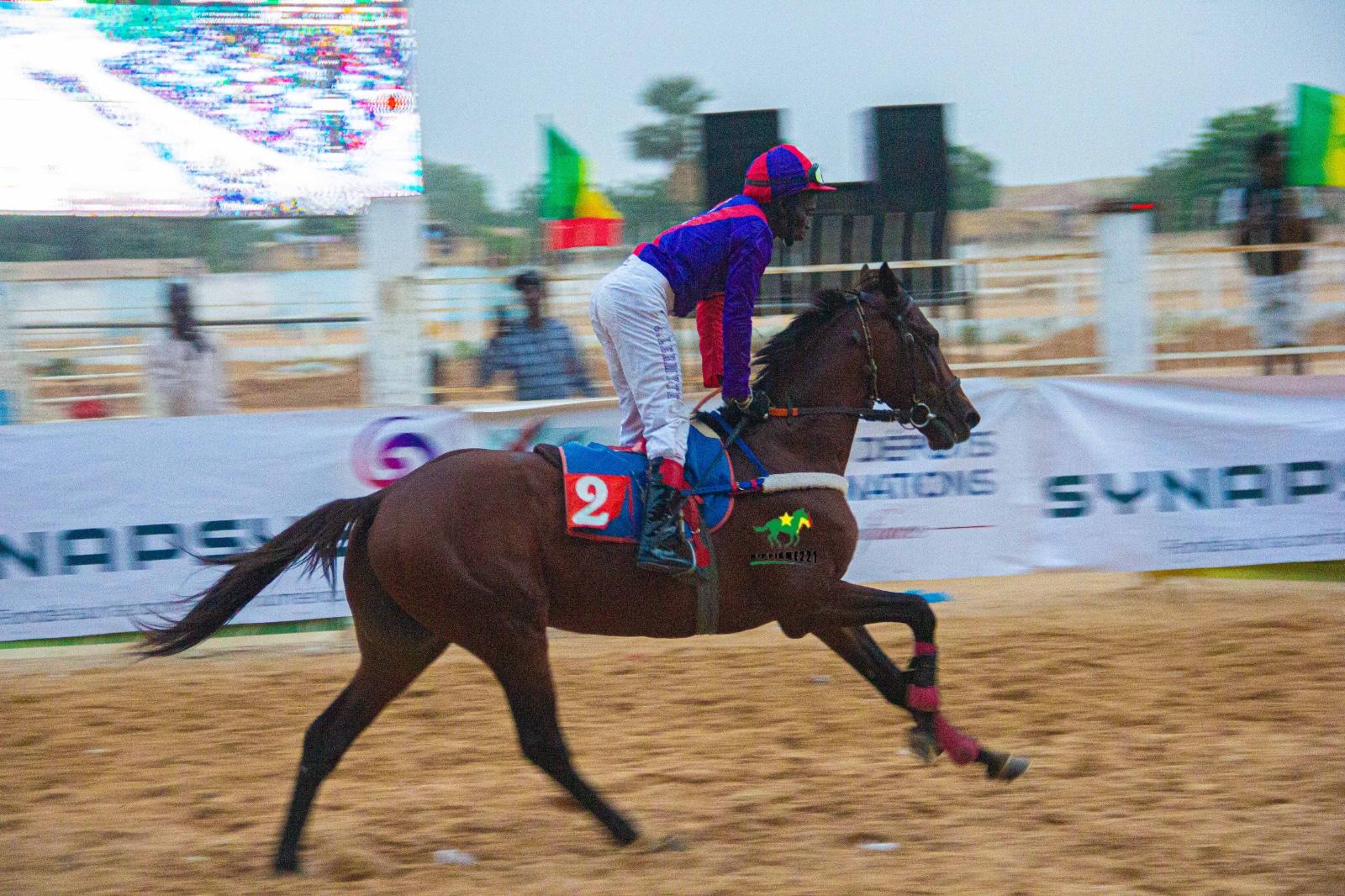 Photo cheval