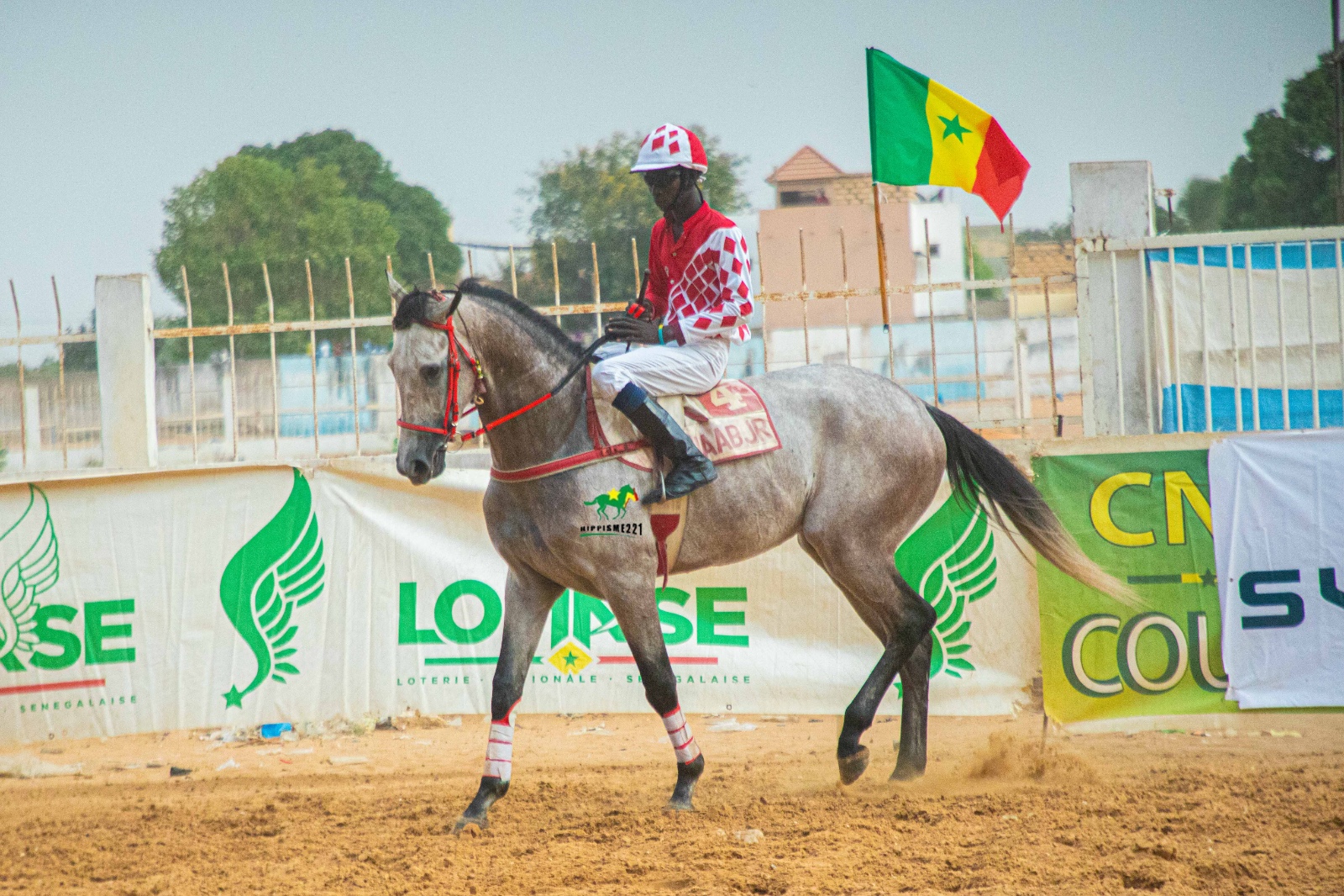 Photo cheval