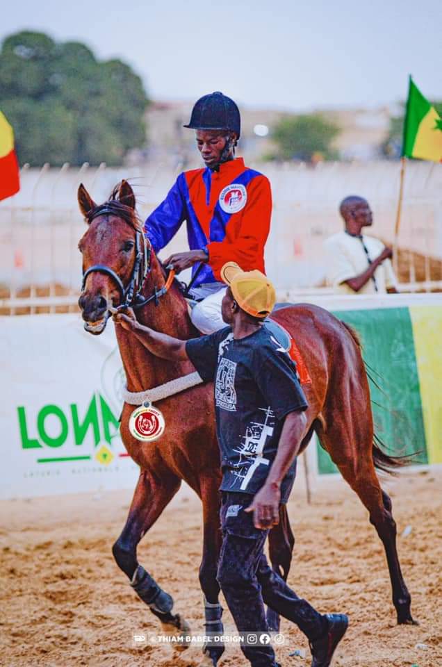 Photo cheval