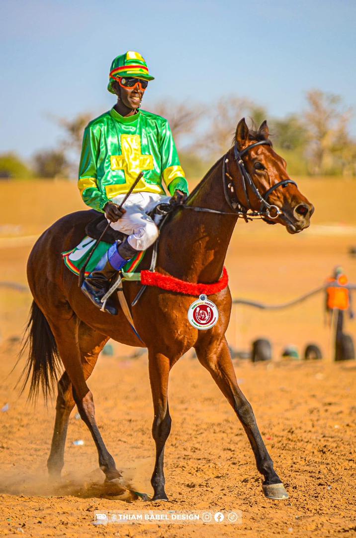 Photo cheval