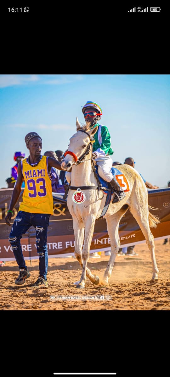 Photo cheval