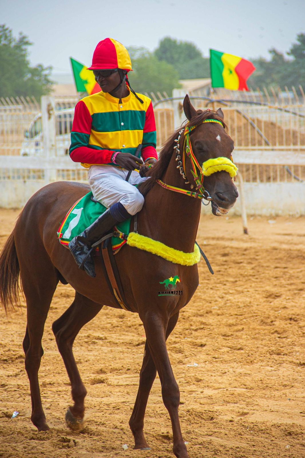 Photo cheval