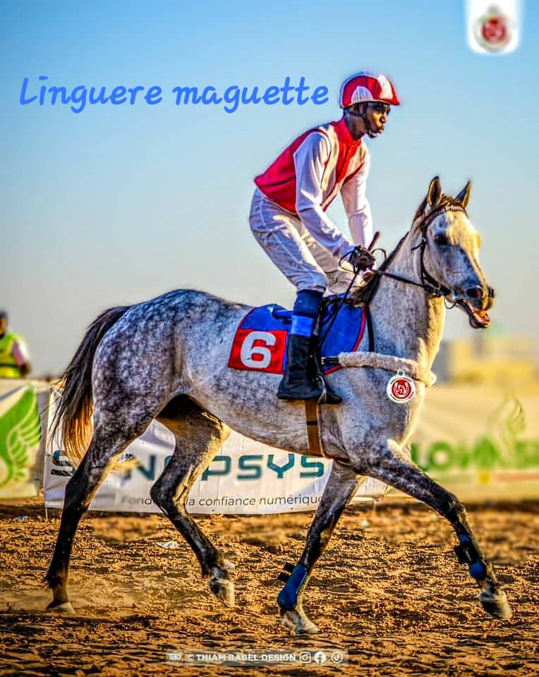Photo cheval