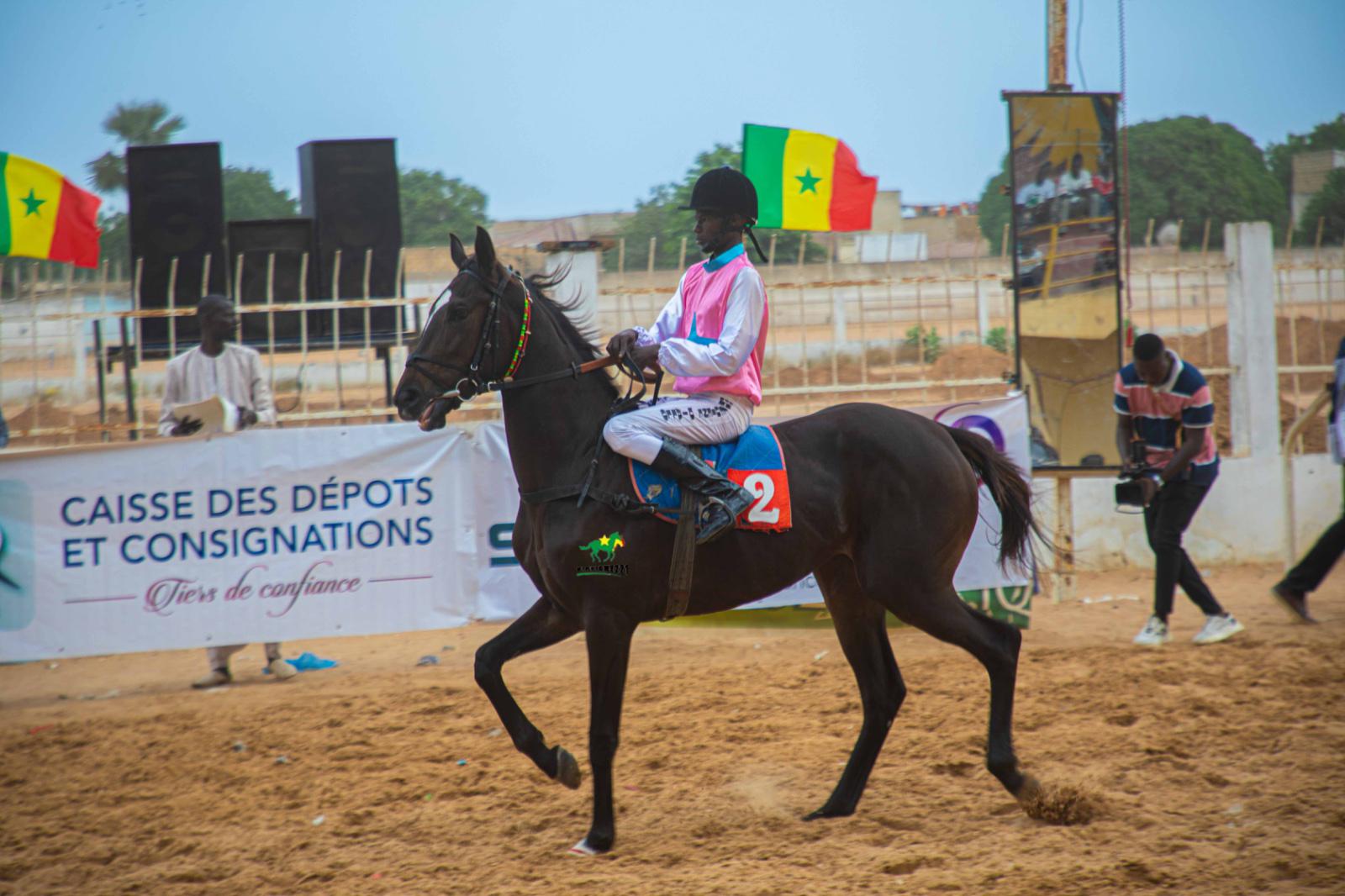 Photo cheval