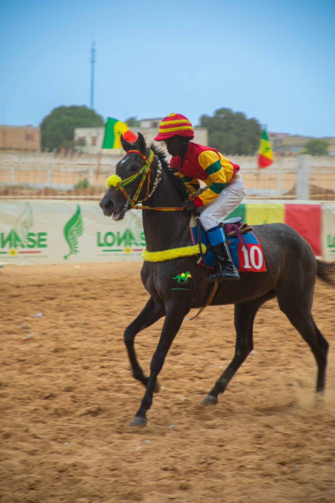 Photo cheval